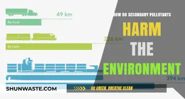 Secondary Pollutants: A Hidden Environmental Danger