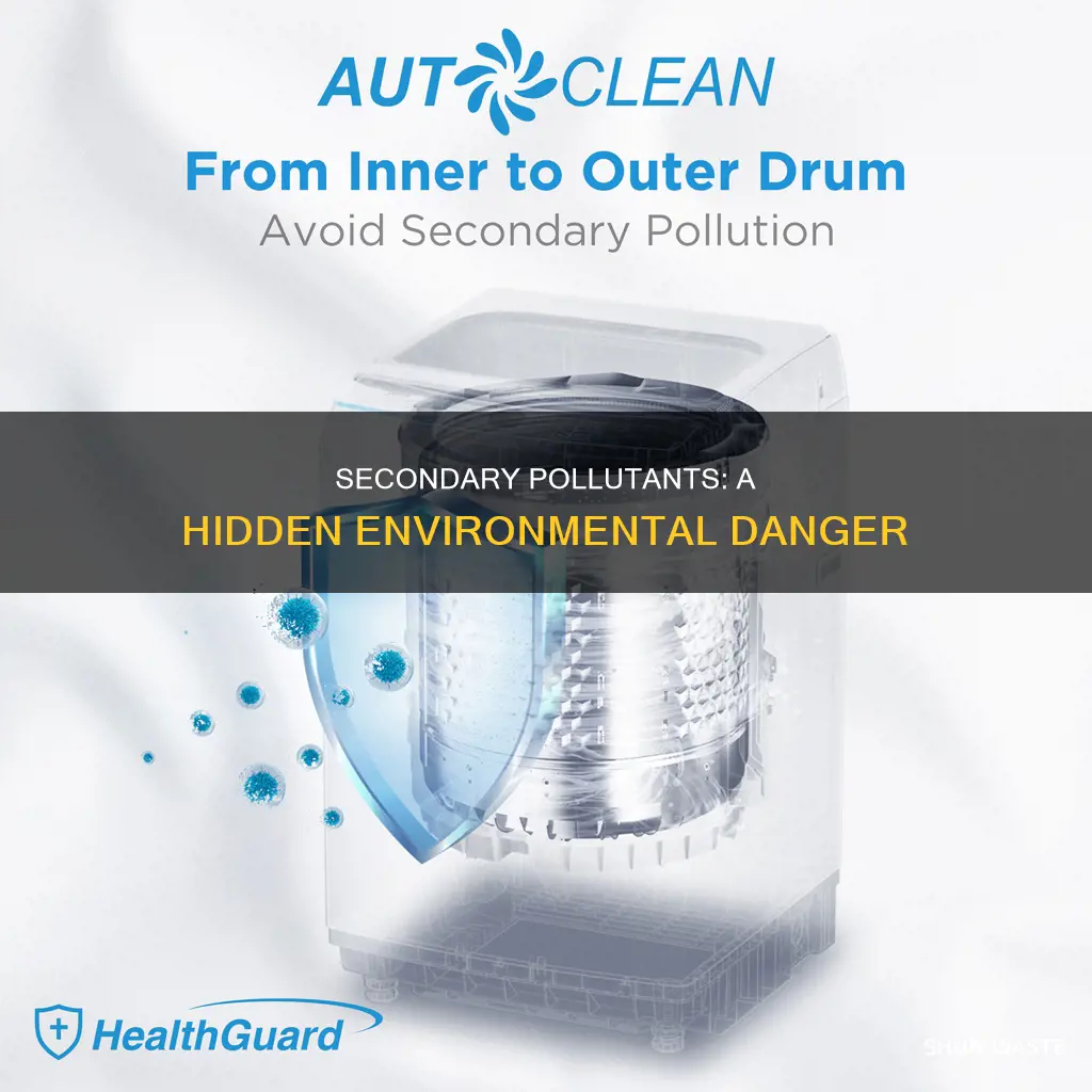how do secondary pollutants harm the environment
