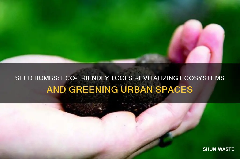 how do seed bombs help the environment