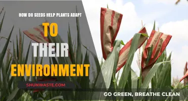 Seeds: Nature's Survival Strategy for Plant Adaptation and Resilience