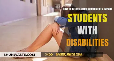 Segregated Learning Environments: Effects on Students with Disabilities Explored
