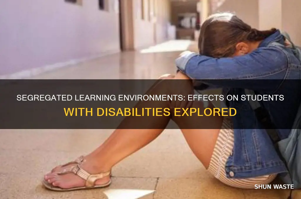 how do segregated environments impact students with disabilities