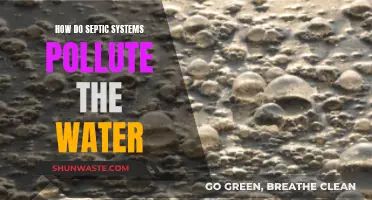 Septic Systems: Hidden Water Polluters: Uncover the Impact