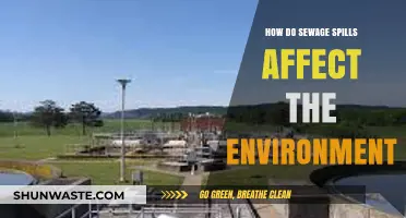 Sewage Spills: Environmental Impacts, Ecosystem Damage, and Public Health Risks