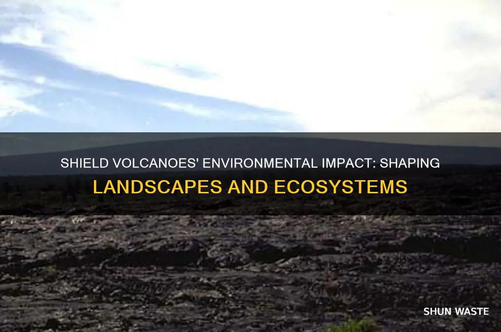 how do shield volcanoes affect the environment