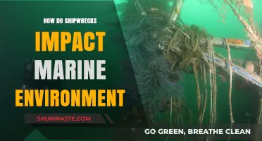 Shipwrecks' Environmental Impact: Unseen Consequences Beneath the Waves