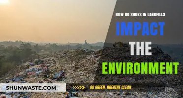 Shoe Waste Crisis: Environmental Impact of Landfilled Footwear Explained