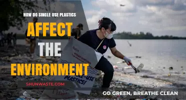 Single-Use Plastics: Devastating Environmental Impacts and Urgent Solutions Needed