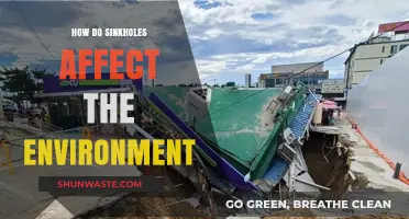 Sinkholes' Environmental Impact: Uncovering Their Hidden Ecological Consequences
