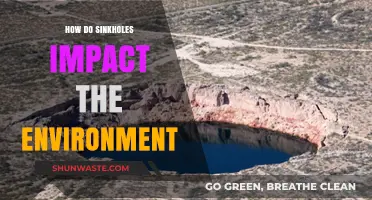 Sinkholes: Unseen Environmental Threats and Their Lasting Ecological Impacts