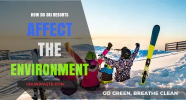 Ski Resorts' Environmental Impact: Balancing Recreation and Ecosystem Preservation