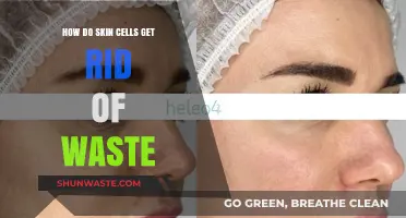 Skin Cells' Waste Disposal: Unveiling the Intricate Detoxification Process