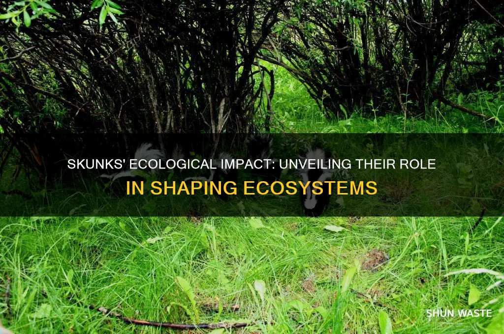 how do skunks affect the environment