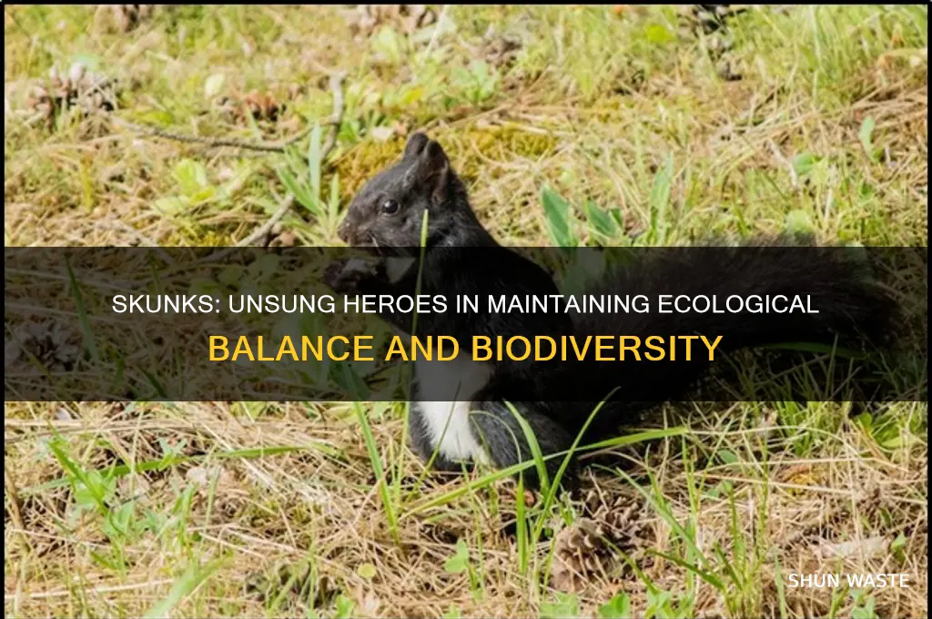 how do skunks help our environment