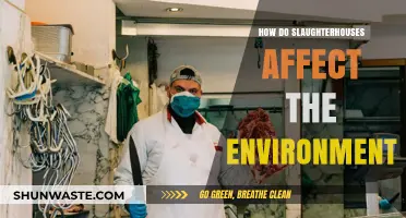 Slaughterhouses' Environmental Impact: Pollution, Emissions, and Ecological Consequences