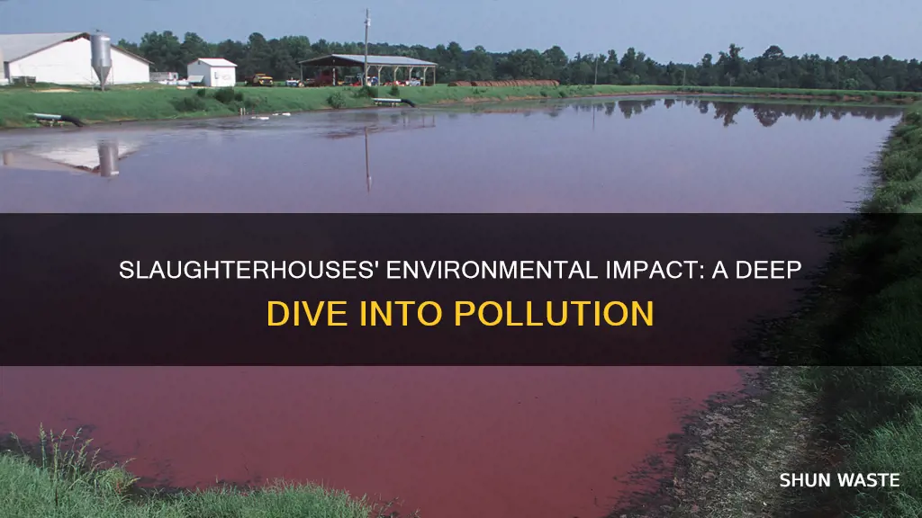 how do slaughterhouses cause pollution