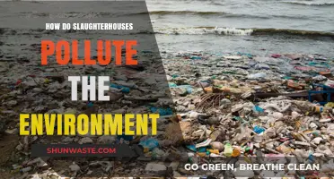 The Dark Side of Slaughterhouses: Environmental Pollution