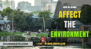 Slums' Environmental Impact: Pollution, Degradation, and Sustainability Challenges