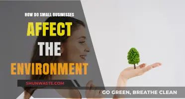 Small Businesses' Environmental Impact: Sustainable Practices and Eco-Friendly Solutions