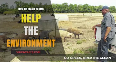 Small Farms, Big Impact: Sustainable Practices for a Greener Planet
