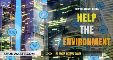 Sustainable Urban Living: How Smart Cities Protect Our Environment