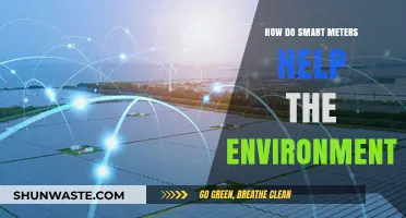 Smart Meters: Reducing Carbon Footprints and Promoting Eco-Friendly Energy Use