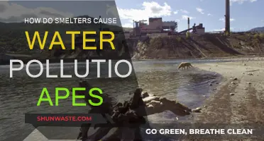 Smelters' Toxic Secrets: Unveiling Water Pollution's Hidden Impact