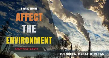 Smoke's Environmental Impact: Pollution, Climate Change, and Ecosystem Destruction Explained