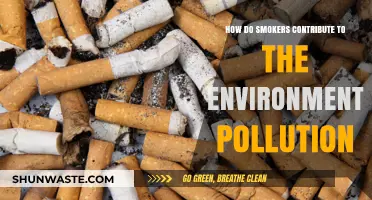 Smokers: Unknowing Environmental Polluters