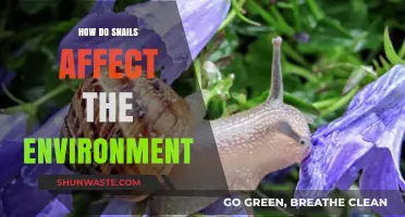 Snails' Environmental Impact: Uncovering Their Role in Ecosystems