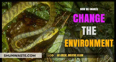 Snakes' Ecological Impact: Shaping Habitats and Influencing Ecosystems Worldwide