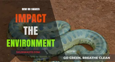Snakes' Ecological Role: Shaping Ecosystems and Balancing Nature's Delicate Web
