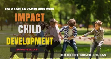 Cultural Influences and Social Settings: Shaping Child Development Outcomes