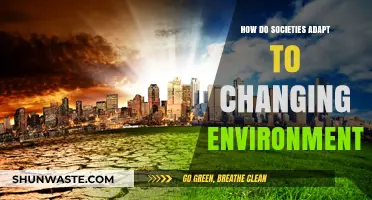 Adapting to Change: How Societies Evolve in Shifting Environments
