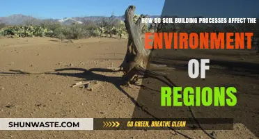 Soil Building Processes: Shaping Regional Environments and Ecosystems