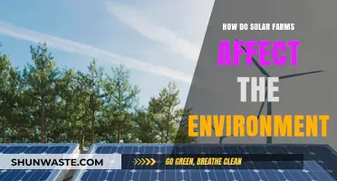 Solar Farms: Environmental Impact, Benefits, and Sustainability Explained