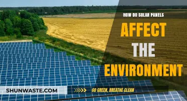 Solar Panels' Environmental Impact: Benefits, Challenges, and Sustainability Insights