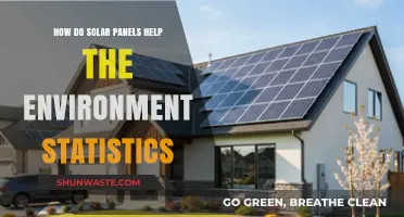 Solar Panels' Environmental Impact: Key Statistics and Green Benefits