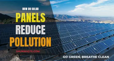 Solar Panels: Pollution Reduction Powerhouses