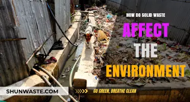 Solid Waste's Environmental Impact: Pollution, Habitat Loss, and Climate Change