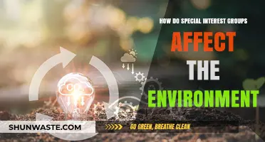 Special Interest Groups: Environmental Impact and Policy Influence Explored