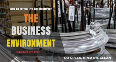 Specialized Courts: Shaping Business Landscapes and Economic Outcomes