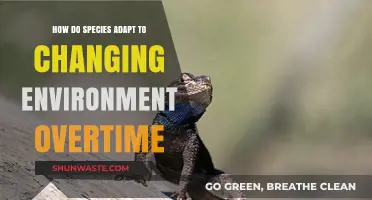 Surviving Change: How Species Evolve and Adapt Over Time