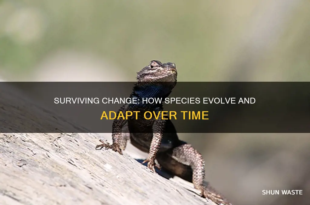 how do species adapt to changing environment overtime