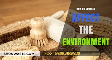 Sponges' Environmental Impact: Absorbing Benefits or Ecological Disruption?