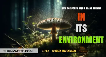 How Spores Enable Plant Survival in Harsh Environments