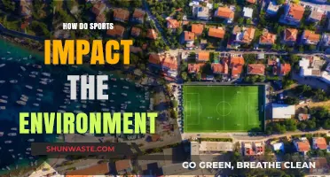 Sports' Environmental Footprint: Impacts, Challenges, and Sustainable Solutions