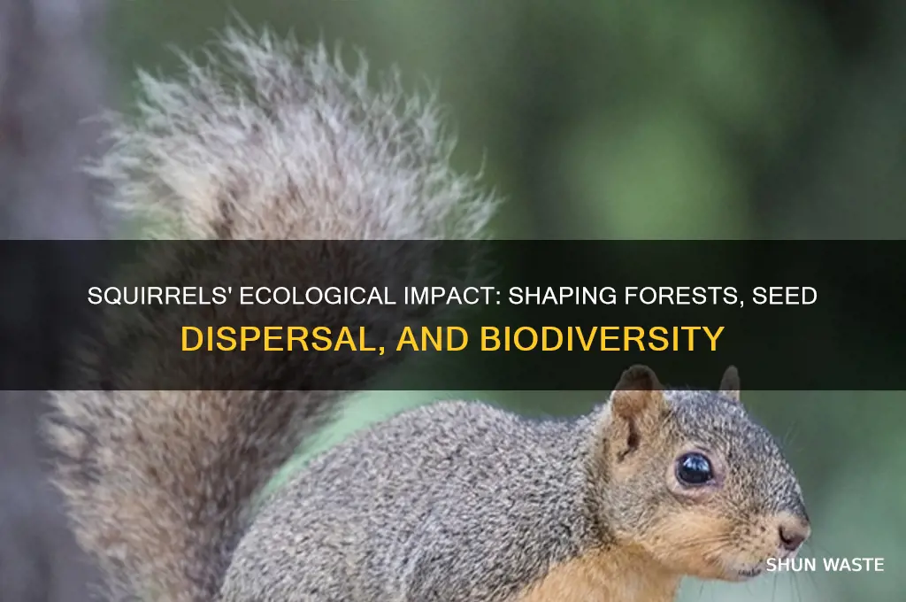 how do squirrels affect the environment