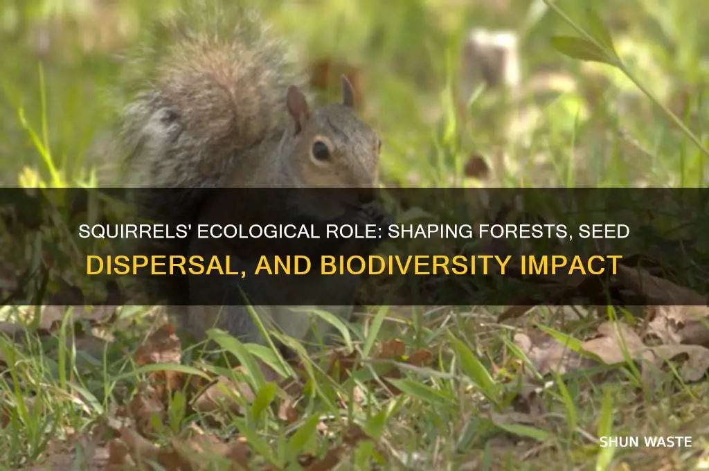how do squirrels impact the environment