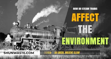 Steam Trains' Environmental Impact: Pollution, Carbon Footprint, and Sustainability Challenges